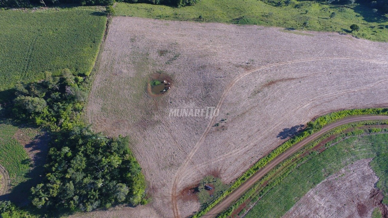 DJI_0257