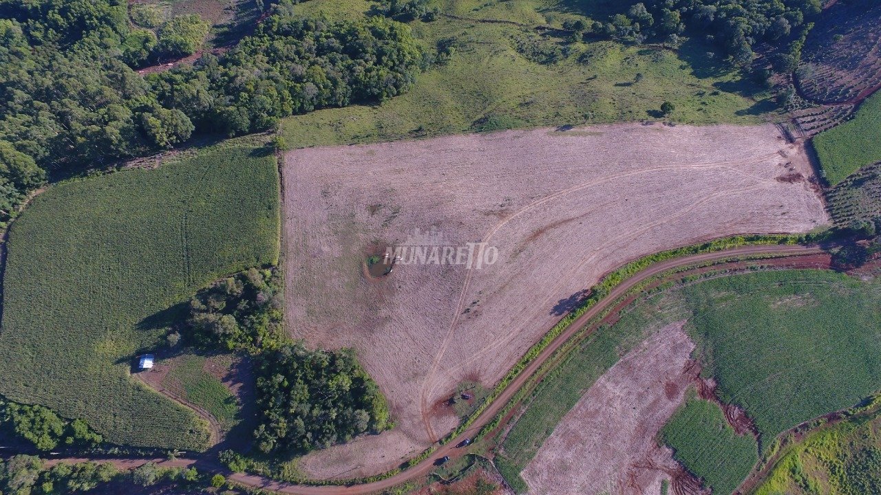 DJI_0260