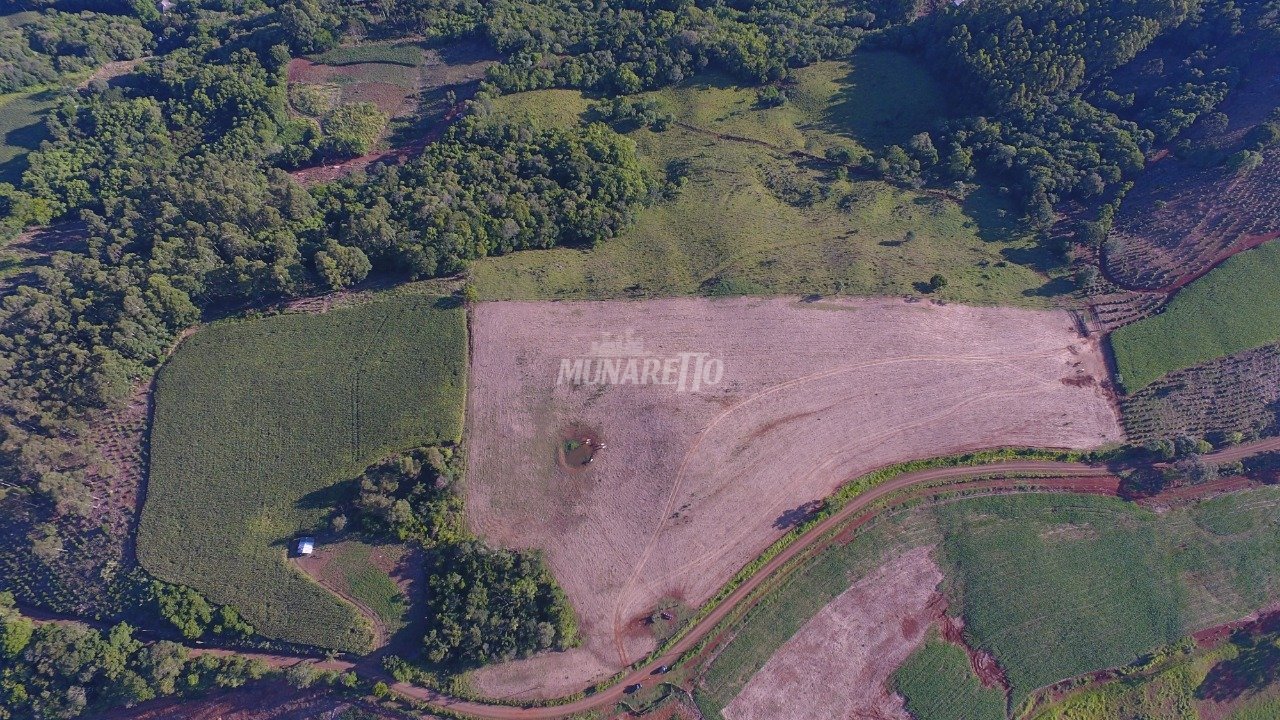 DJI_0261