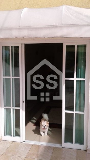 house em Rua Rosa Mística, Vila Campestre - São Paulo - SP