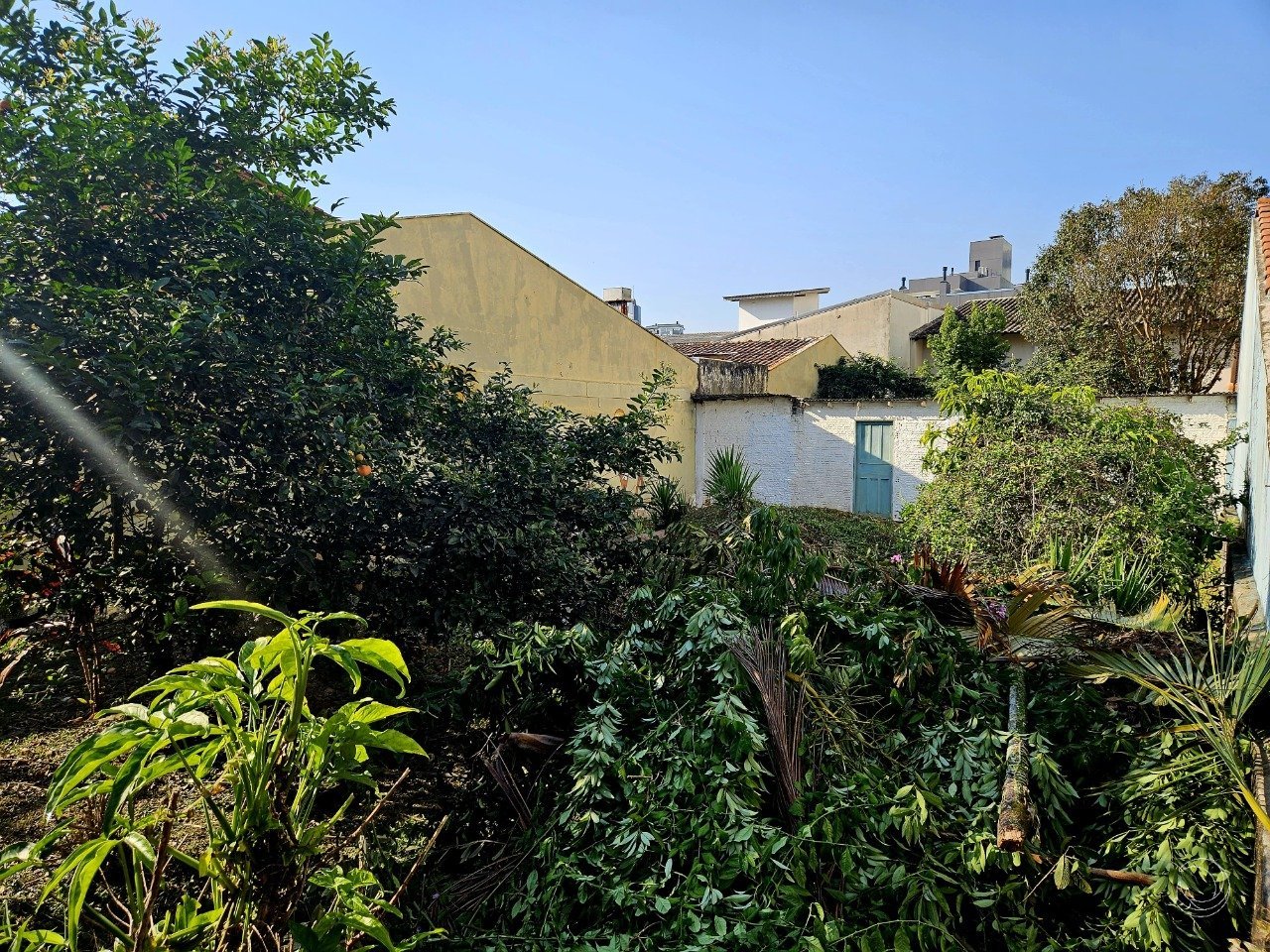 FOTO 03