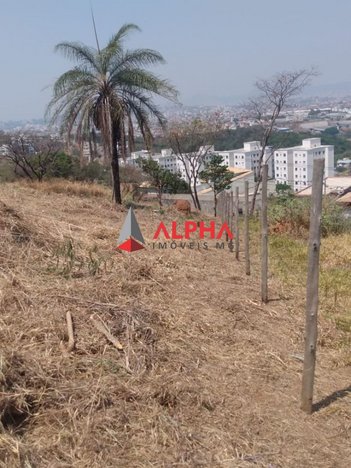 land_lot em Nove, Chácaras Reunidas Santa Terezinha - Contagem - MG