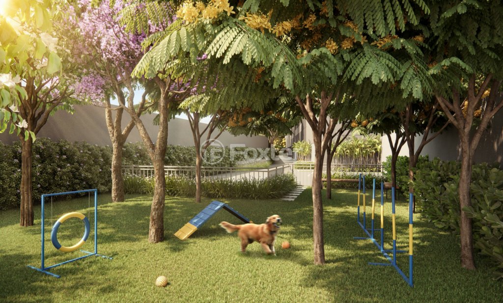 jardim-com-area-de-recreacao-para-caes