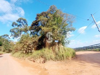 commercial_building em Morro de Paula, Fazenda São Borja - São Leopoldo - RS