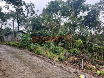 land_lot em Avenida dos Pinheiros - Pq Terezópolis Plta, Roseira - Mairiporã - SP