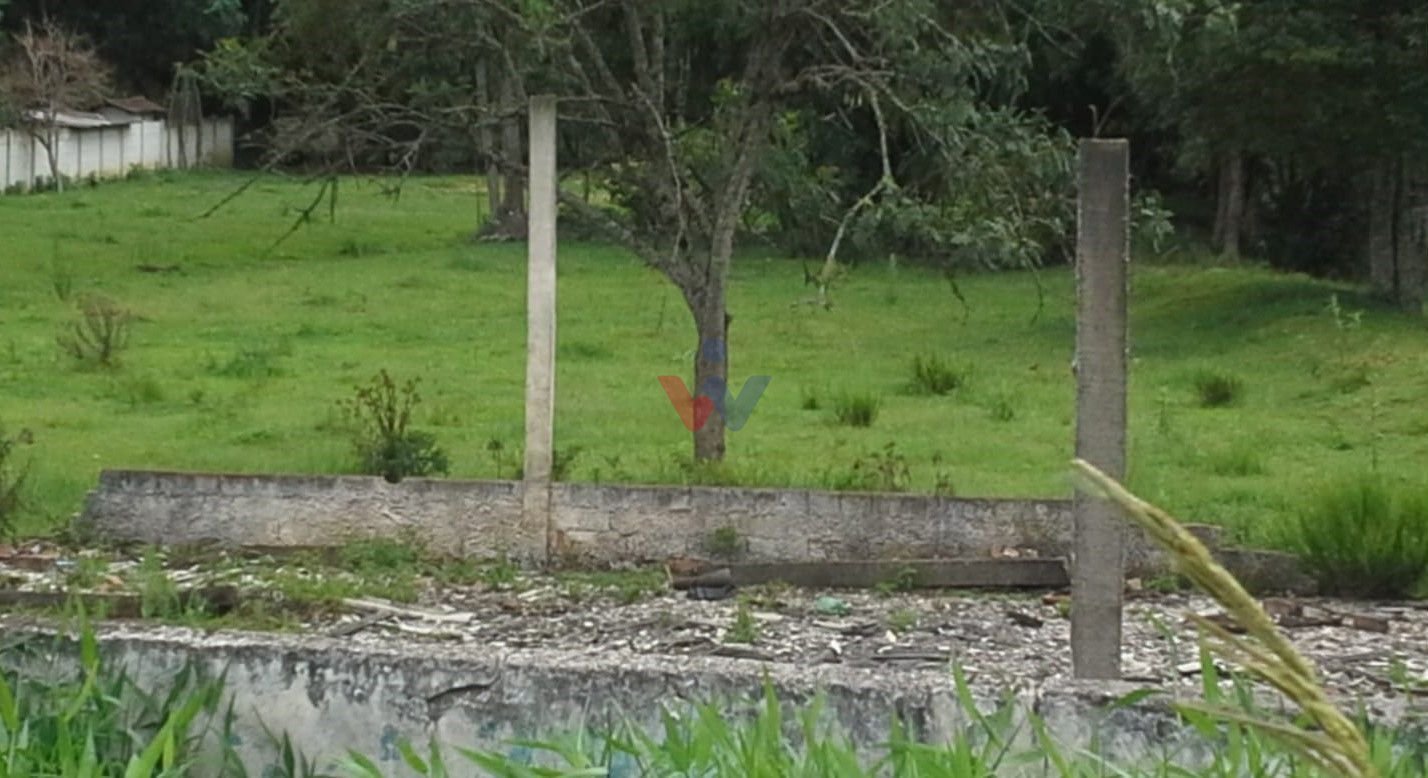 image-0