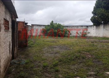 land_lot em Rua General Porfírio da Paz, Vila Bancária - São Paulo - SP