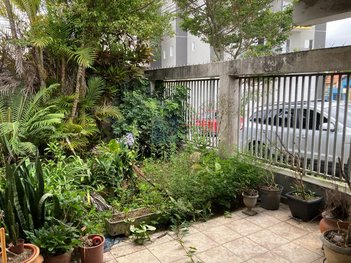 house em Rua Acuti, Cidade Dutra - São Paulo - SP