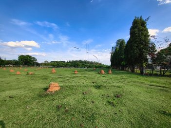 commercial_building em Avenida Independência, Iporanga - Sorocaba - SP