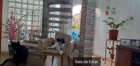 house em Rua Rosa Rossi, Assunção - São Bernardo do Campo - SP