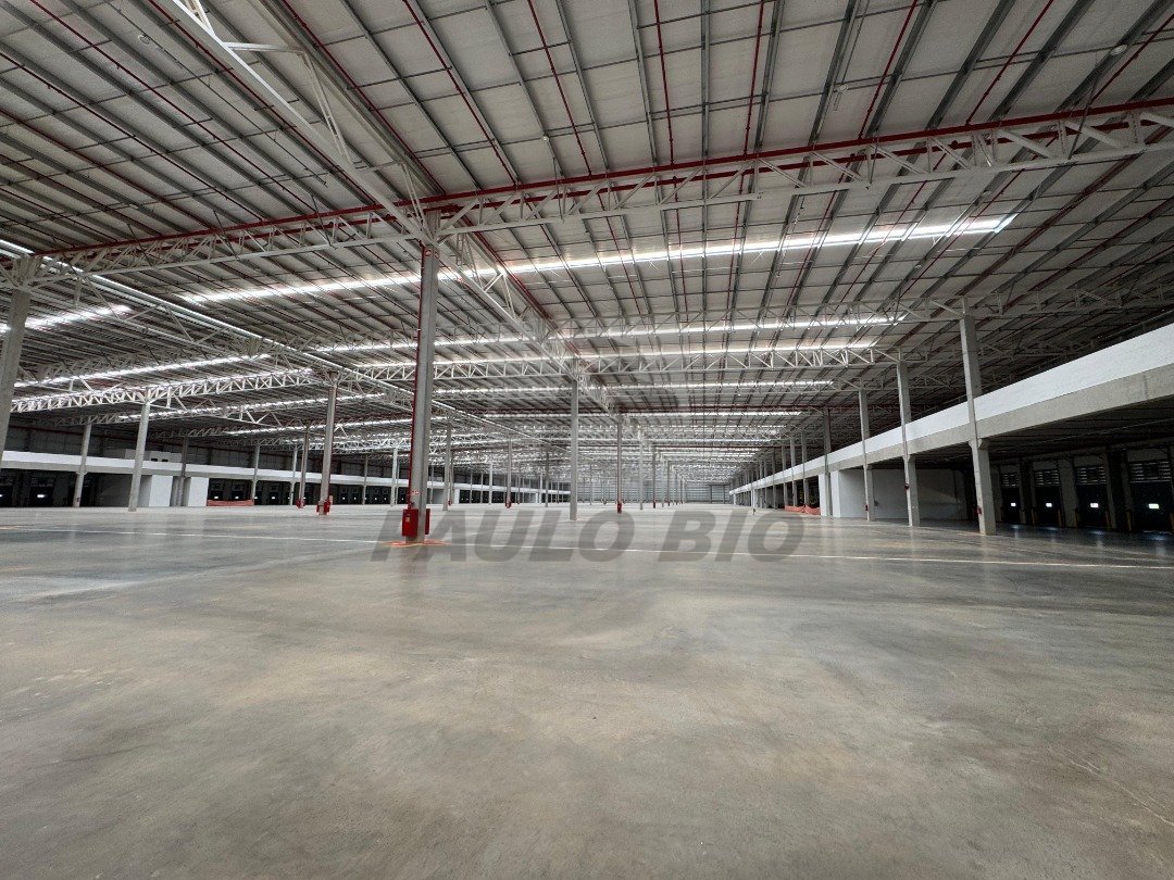 WhatsApp Image 2025-11-12 at 13.27