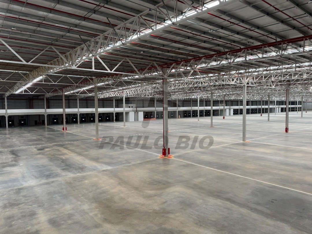 WhatsApp Image 2025-11-12 at 13.27