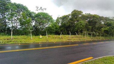 land_lot em Rodovia Duque de Caxias, Reta - São Francisco do Sul - SC