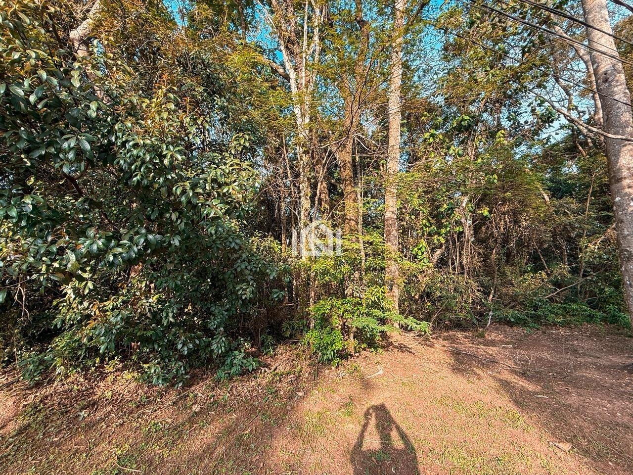 terreno a venda no condominio forest hills