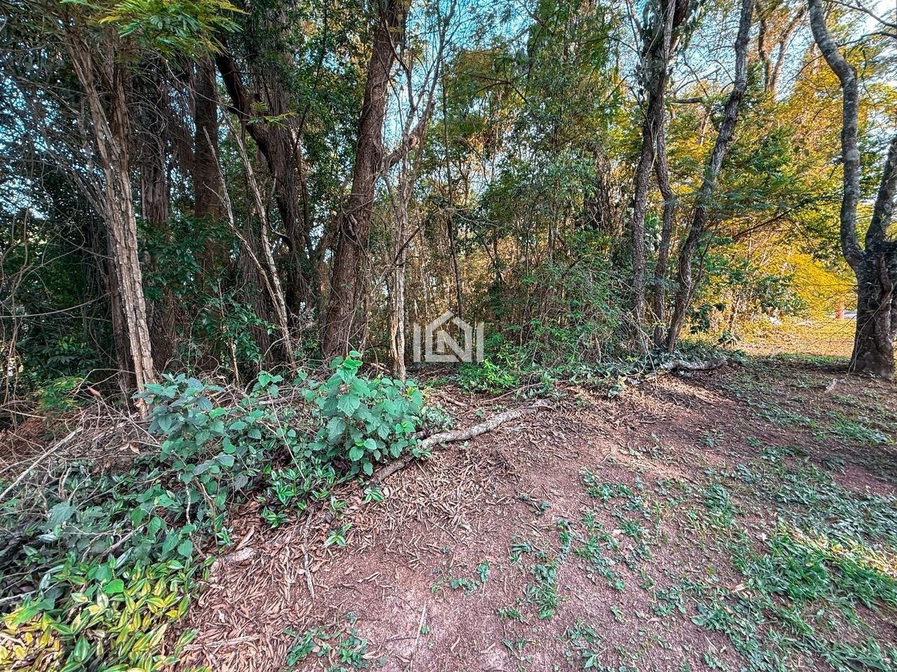 terreno a venda no condominio forest hills