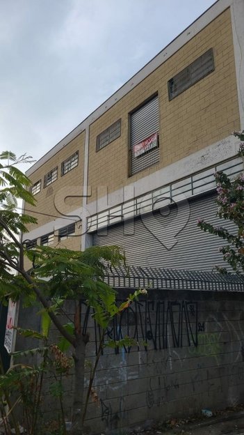 office em Madre Maria Villac, Jardim Marisa - São Paulo - SP