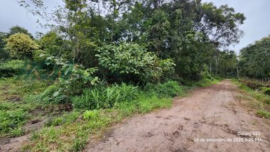 land_lot em Rua 2740 Apemondi, Pontal do Norte - Itapoá - SC