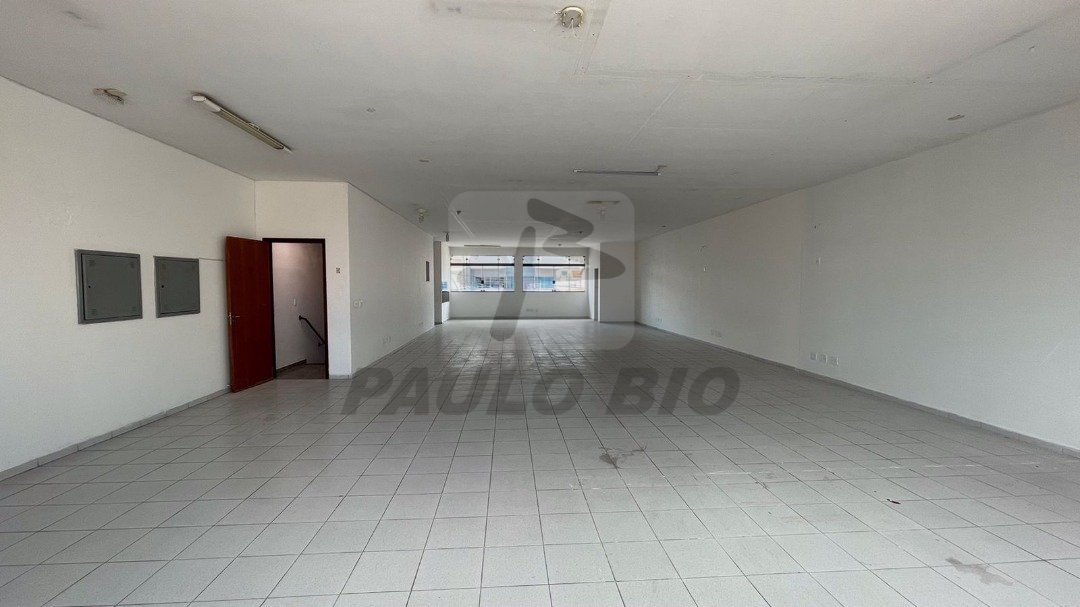 WhatsApp Image 2025-10-03 at 14.16