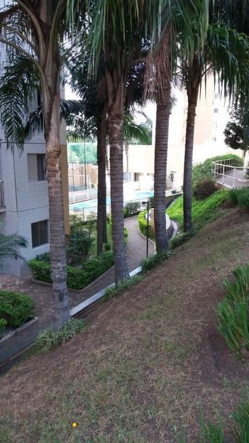 apartment em Avenida Ajarani, Cidade Patriarca - São Paulo - SP