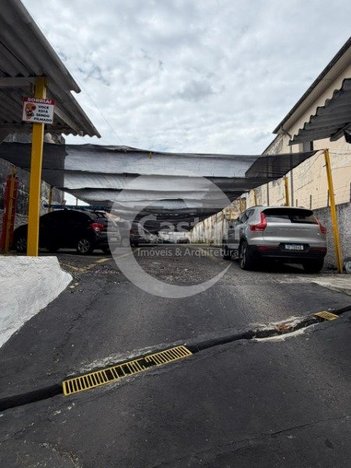 land_lot em Rua Teodureto Souto, Cambuci - São Paulo - SP