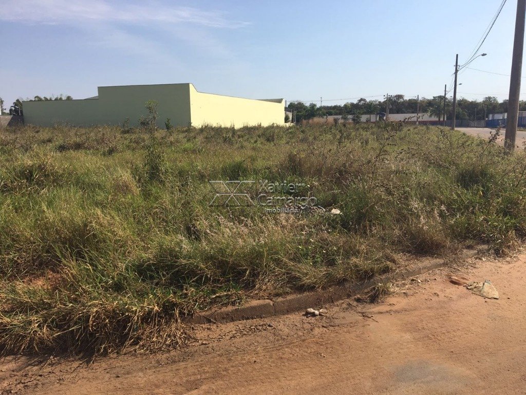 Foto Avenida 4-IM