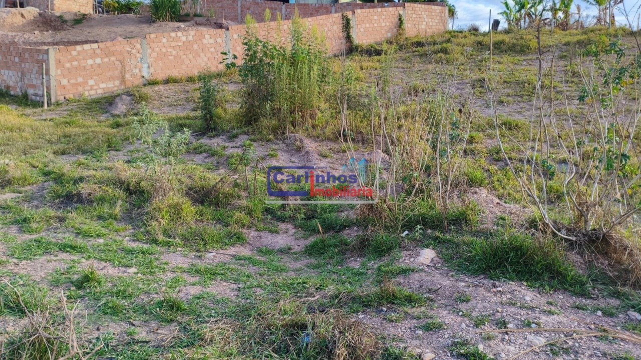 WhatsApp Image 2025-10-06 at 11.44