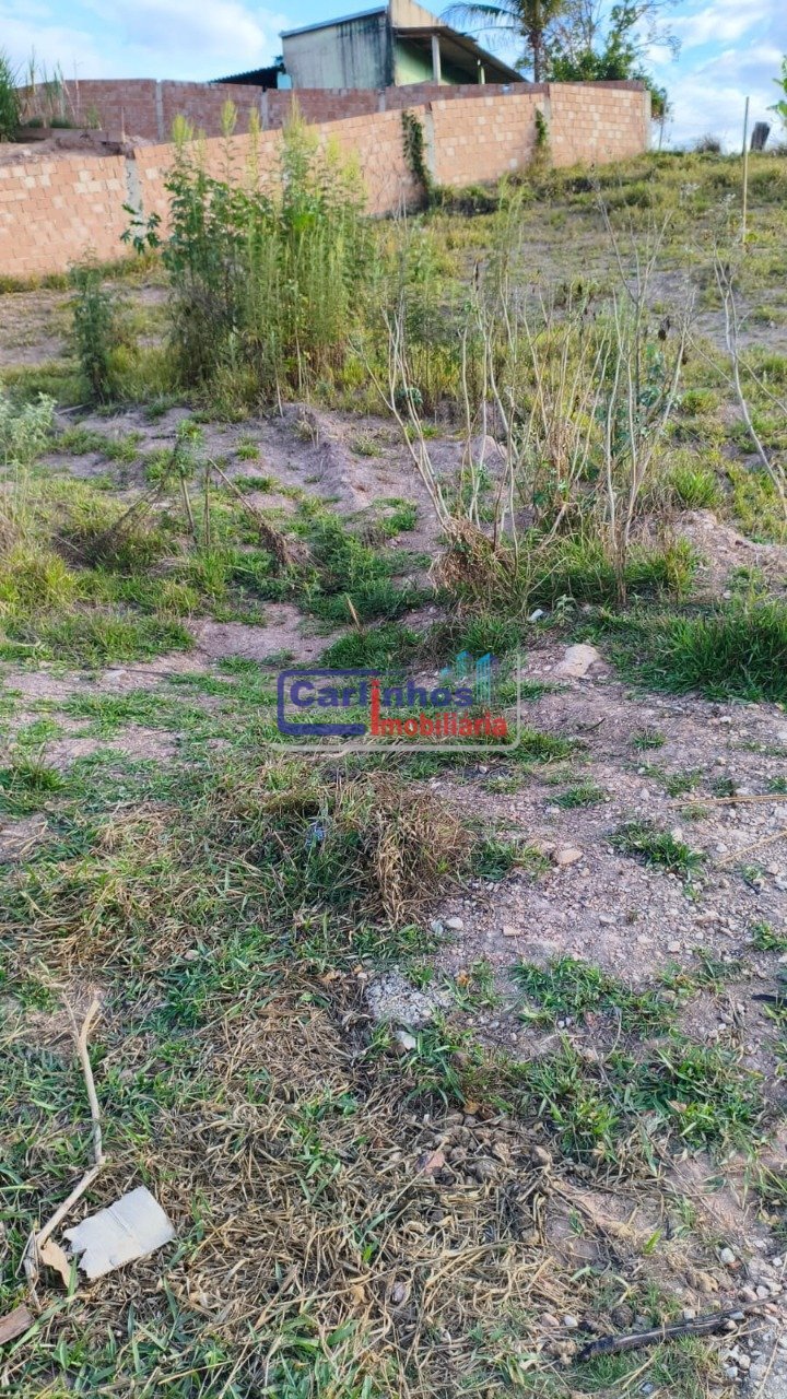 WhatsApp Image 2025-10-06 at 11.44