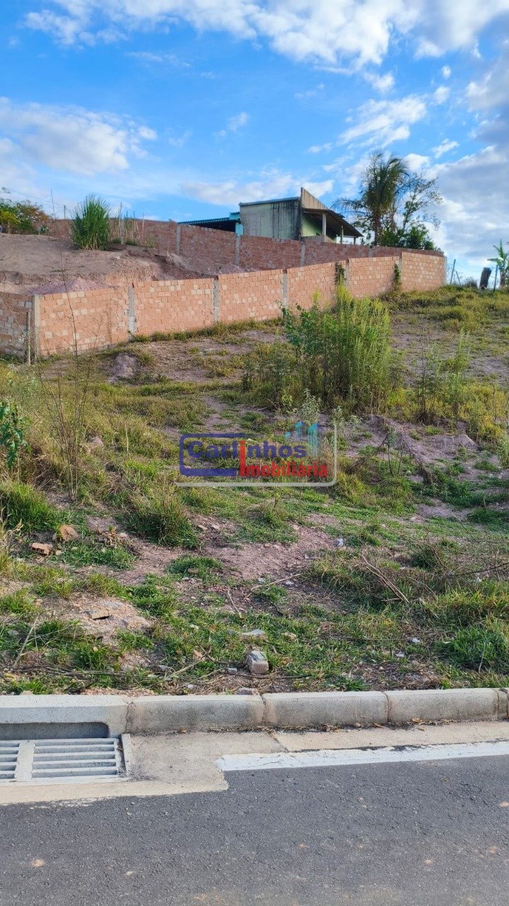 WhatsApp Image 2025-10-06 at 11.44