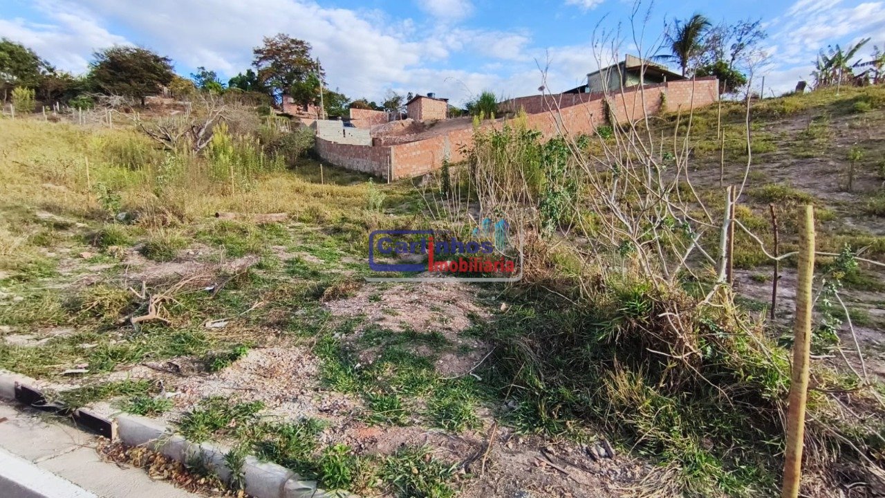 WhatsApp Image 2025-10-06 at 11.44