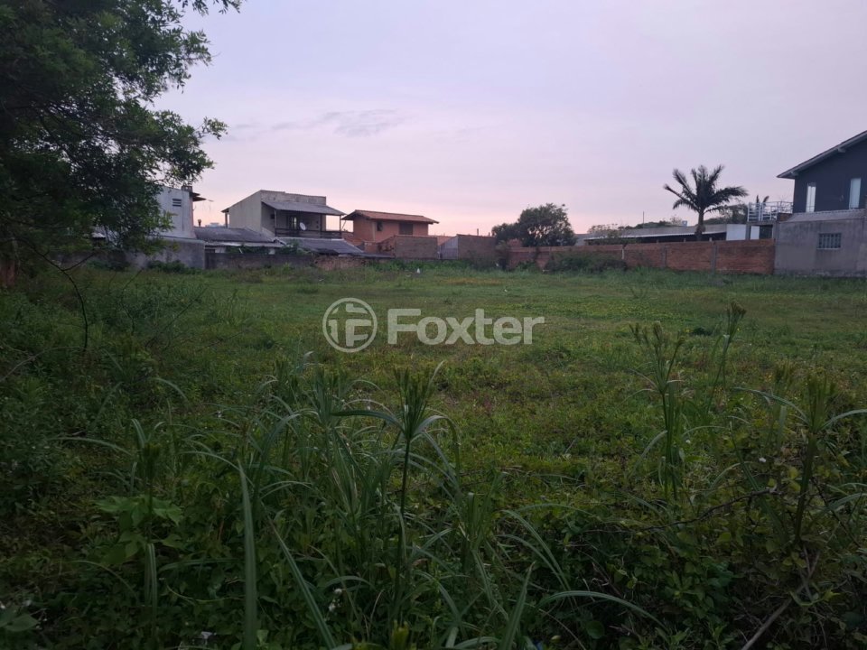 WhatsApp Image 2025-11-24 at 19.07.16.jpeg