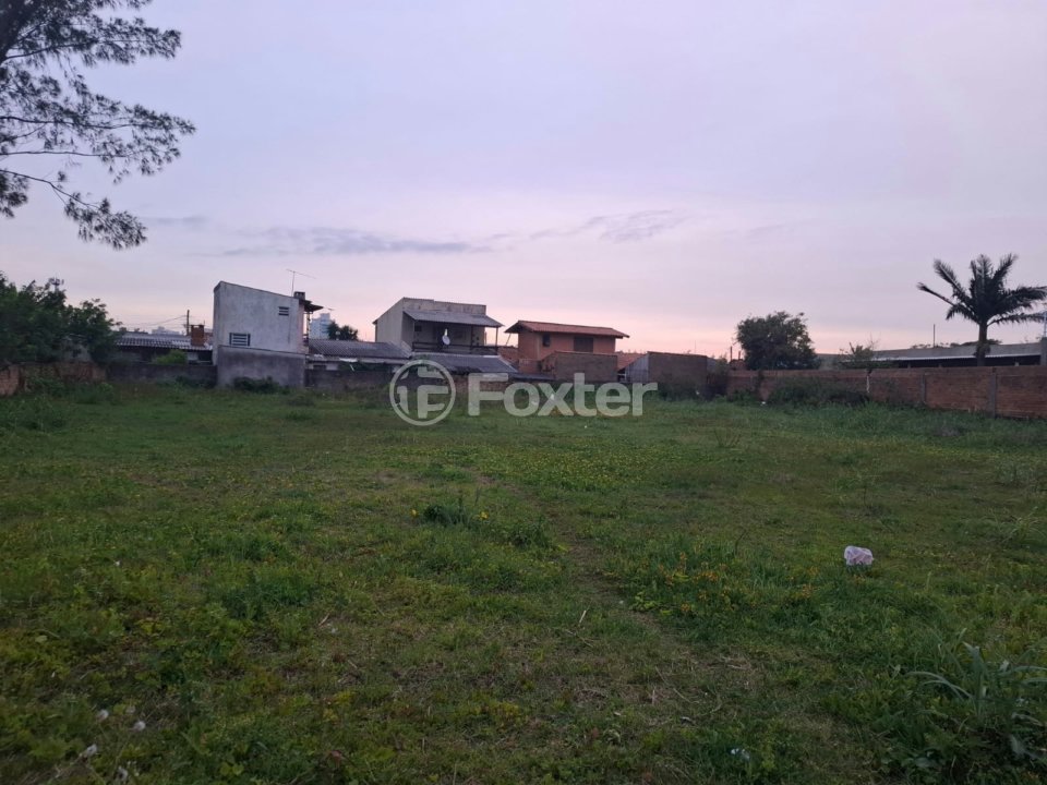 WhatsApp Image 2025-11-24 at 19.07.45.jpeg