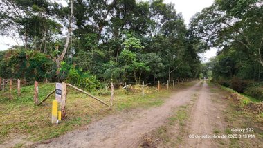 land_lot em Rua 2730 Panami, Pontal do Norte - Itapoá - SC