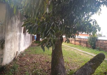 land_lot em Tamandaré, Camaquã - Porto Alegre - RS