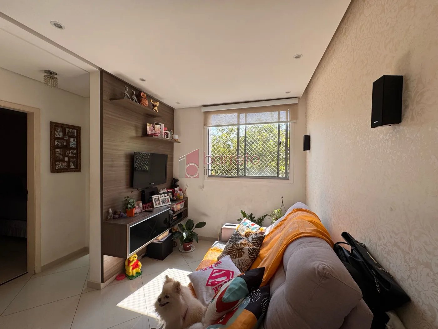 image-3