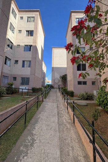 apartment em Rua Custódio Paiva, Jardim São Paulo(Zona Norte) - São Paulo - SP