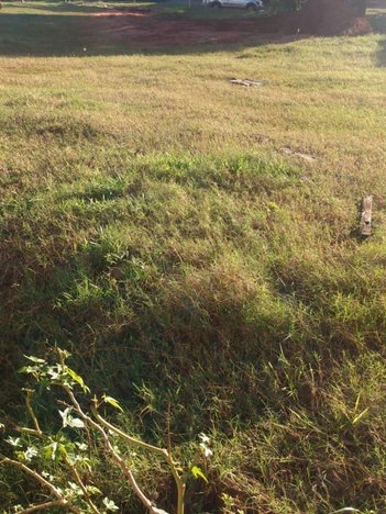 land_lot em Rua Guanabara, São Pedro do Paraná - São Pedro do Paraná - PR