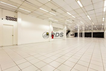 business em Avenida Santa Marina, Vila Albertina - São Paulo - SP