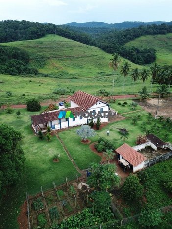 agricultural em Área Rural, Área Rural de Muriaé - Muriaé - MG