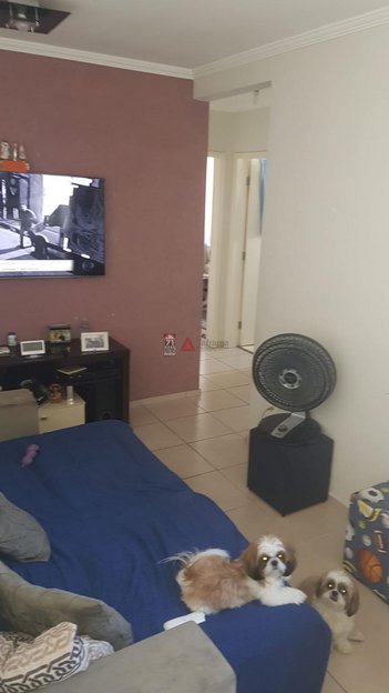 apartment em Travessa Herminio Intrieri, Vila Rangel - São José dos Campos - SP