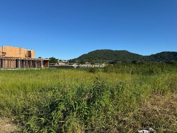 land_lot em Doutor Antônio Luiz Moura Gonzaga, Rio Tavares - Florianópolis - SC