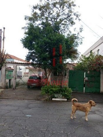 land_lot em Coronel Joao de Oliveira Melo, Vila Antonieta - São Paulo - SP