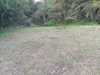 land_lot em Rua do Lamim, Canasvieiras - Florianópolis - SC