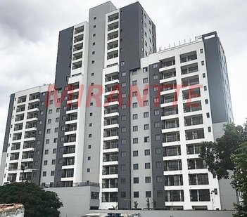 business em Tomé Portes, Vila Dom Pedro II - São Paulo - SP