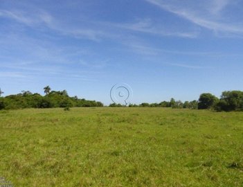 land_lot em BR-392, Povo Novo - Rio Grande - RS