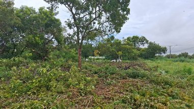 land_lot em ACSO 90 Avenida LO 21, Plano Diretor Sul - Palmas - TO