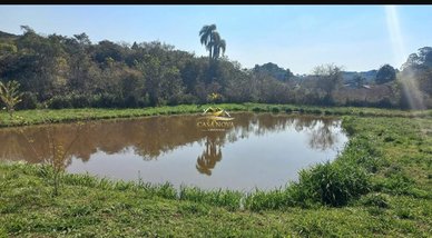 agricultural em Rua Antônio Lopes, São Caetano - Balsa Nova - PR