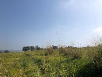 land_lot em Área Rural, Área Rural de Porto Feliz - Porto Feliz - SP