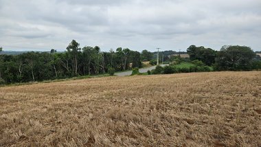 land_lot em Rua Manoel Gonçalves Ferreira, Guajuvira - Araucária - PR