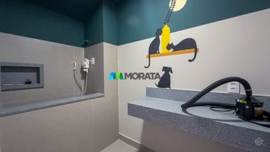 apartment em Rua Pilar, Grajaú - Belo Horizonte - MG