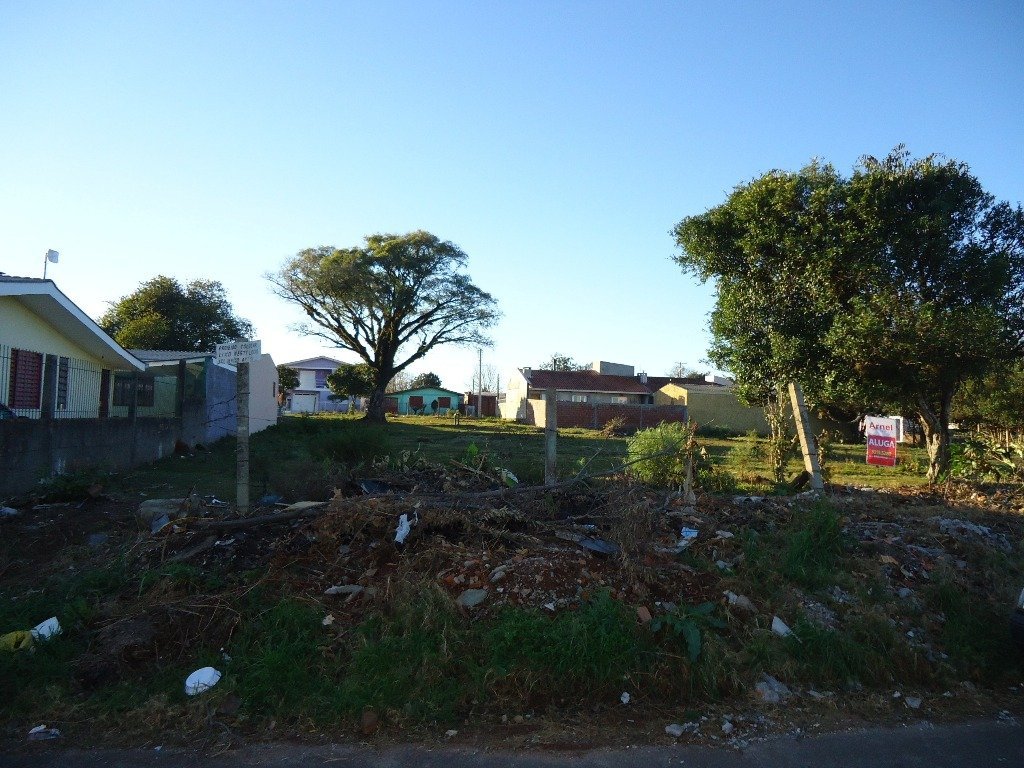 DSC07264